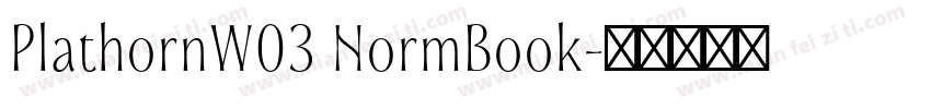 PlathornW03 NormBook字体转换